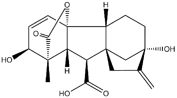 赤霉素GIBBERELLIC ACID，居然有這么神奇？